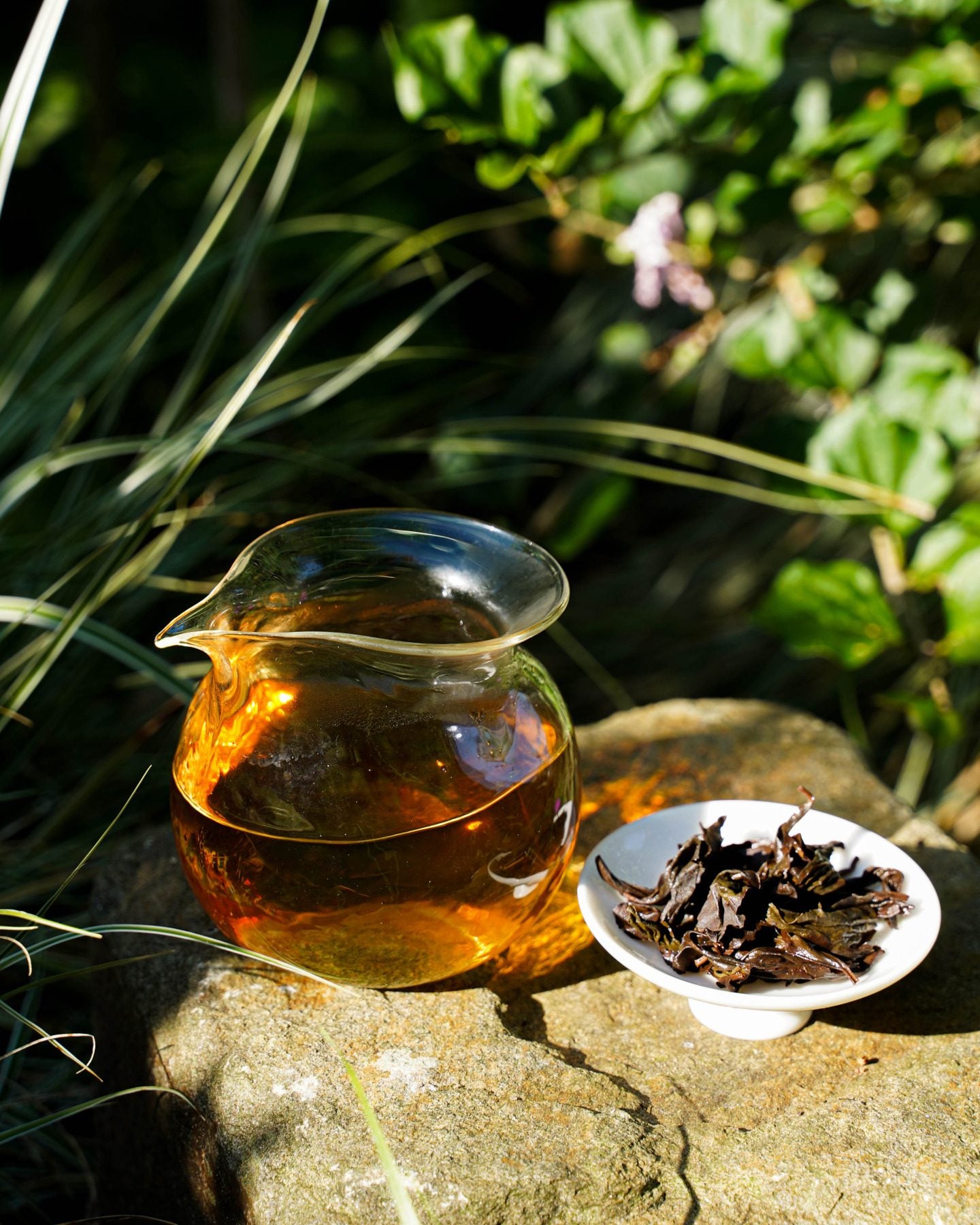 Blissed Cliff (Da Hong Pao) 大红袍