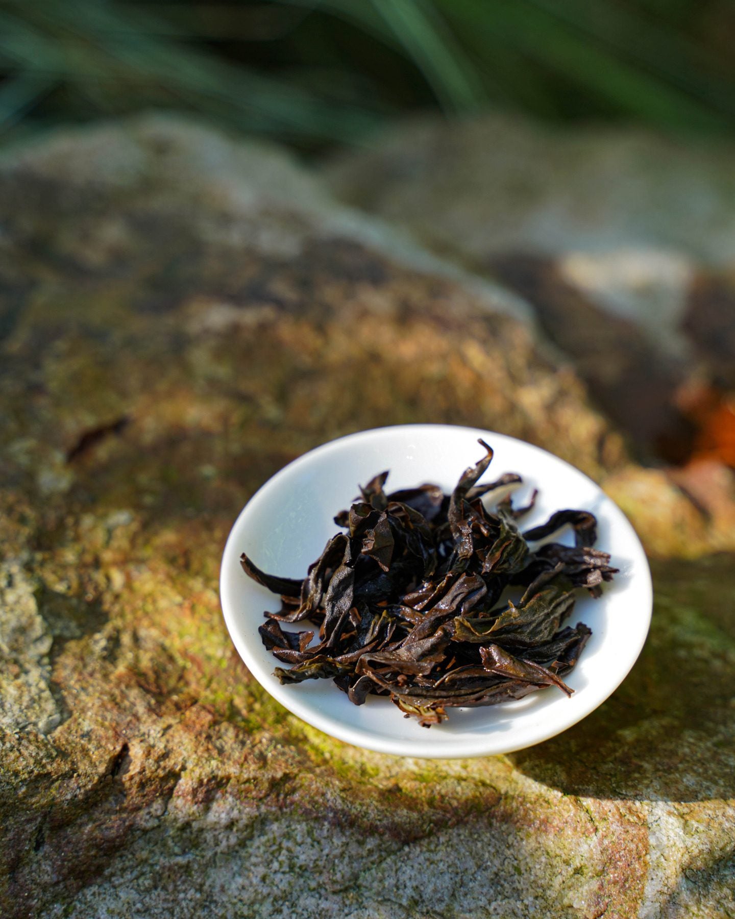 Blissed Cliff (Da Hong Pao) 大红袍