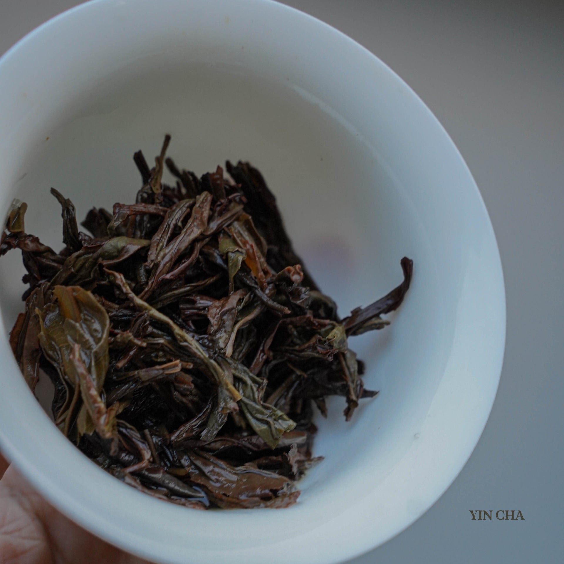 MI LÁN XIANG (Dan Cong) 蜜兰香单丛