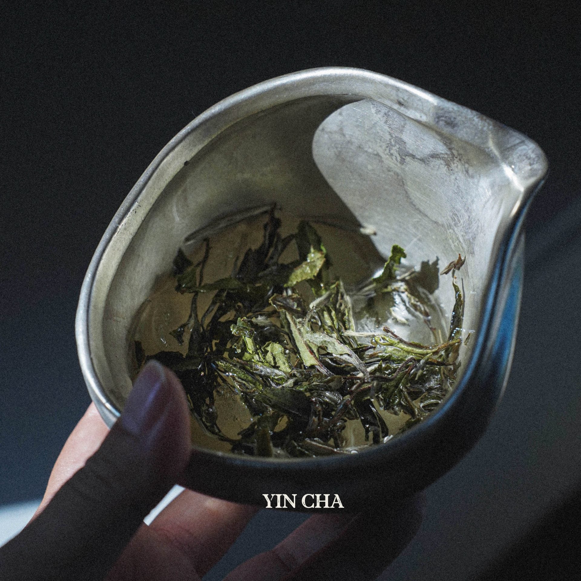 Bai Mu Dan 2022 (White Peony) 白牡丹