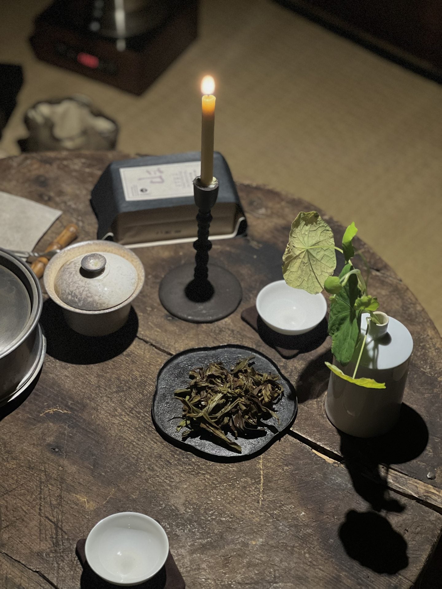 Dive into the Art of Chinese Tea- Gong Fu Cha Workshop (08-02-26)