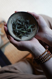 L'art du thé chinois – Un voyage estival avec de délicieux thés verts et jaunes (26-08-29 | Amsterdam)