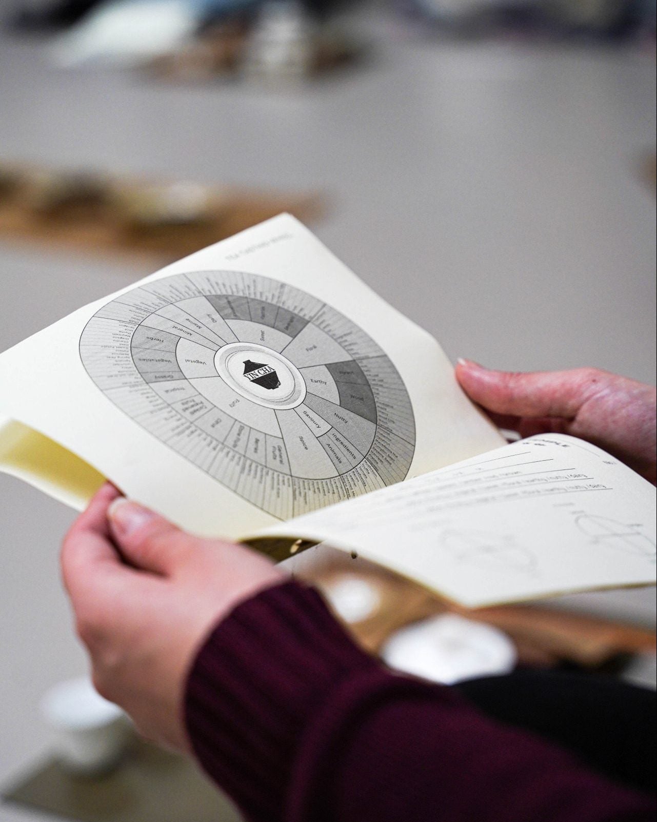 Dive into the Art of Chinese Tea- Gong Fu Cha Workshop  (08-02-26)
