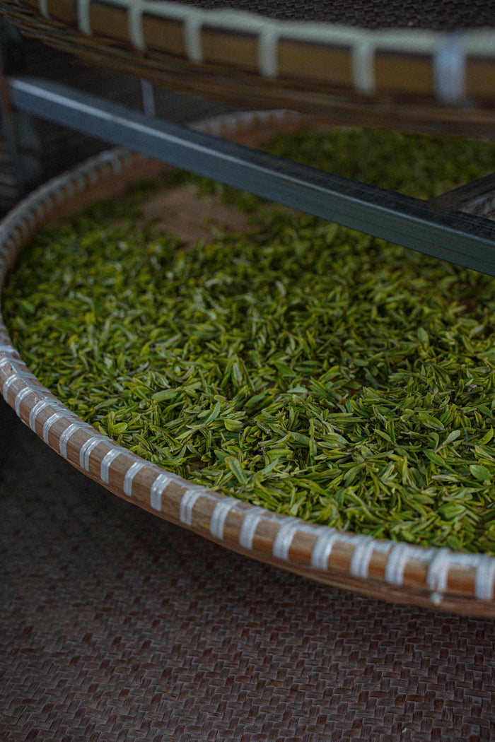 The Art of Chinese Tea — A Summer Journey with Exquisite Green & Yellow Teas  (04-07-26)