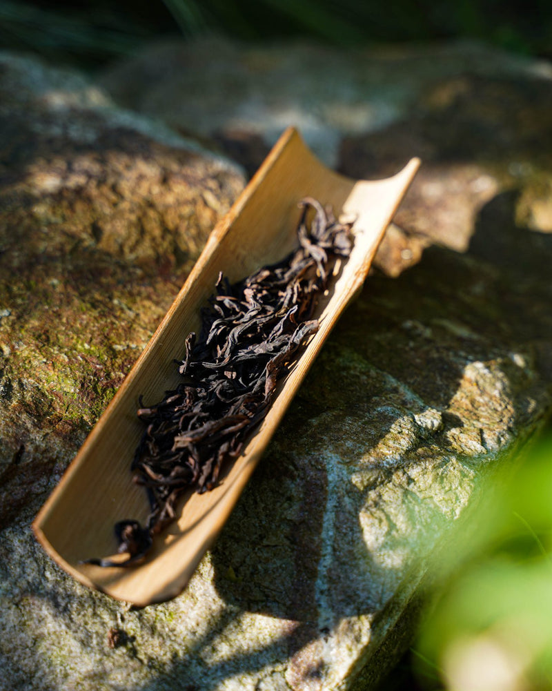 Blissed Cliff (Da Hong Pao) 大红袍