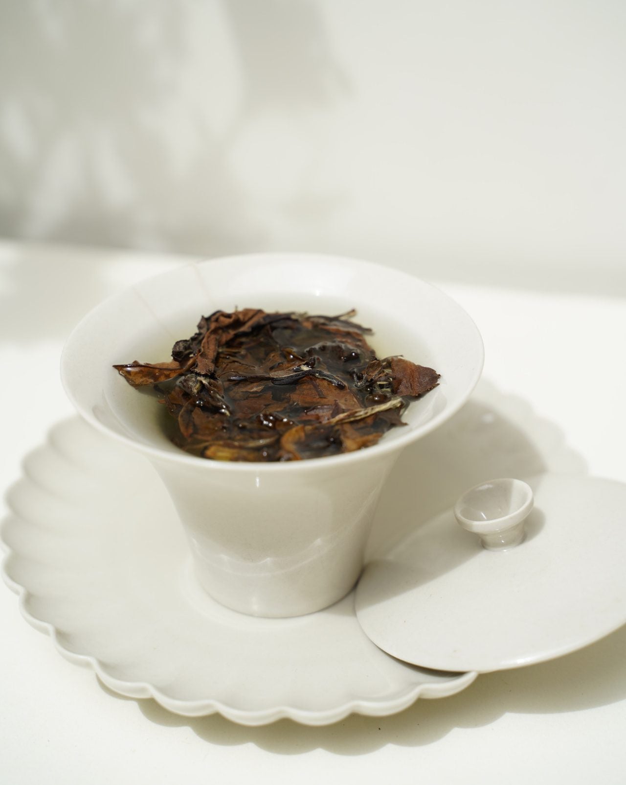 2011 Aged White Peony (Bai Mu Dan) 白牡丹