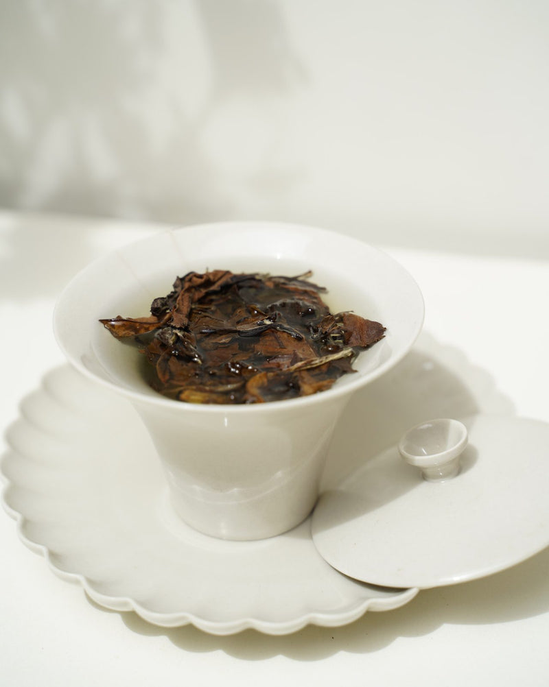 2011 Aged White Peony (Bai Mu Dan) 白牡丹