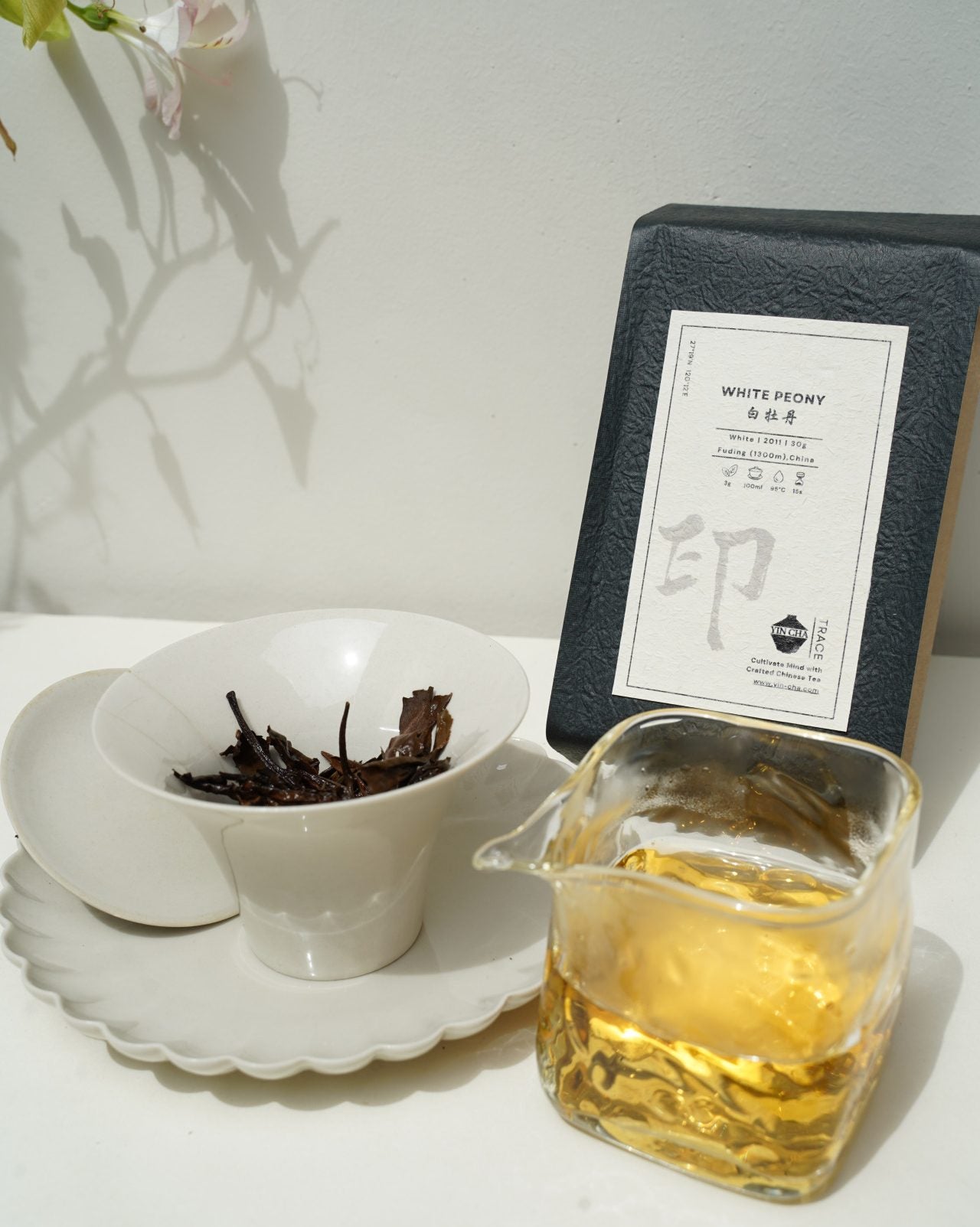 2011 Aged White Peony (Bai Mu Dan) 白牡丹