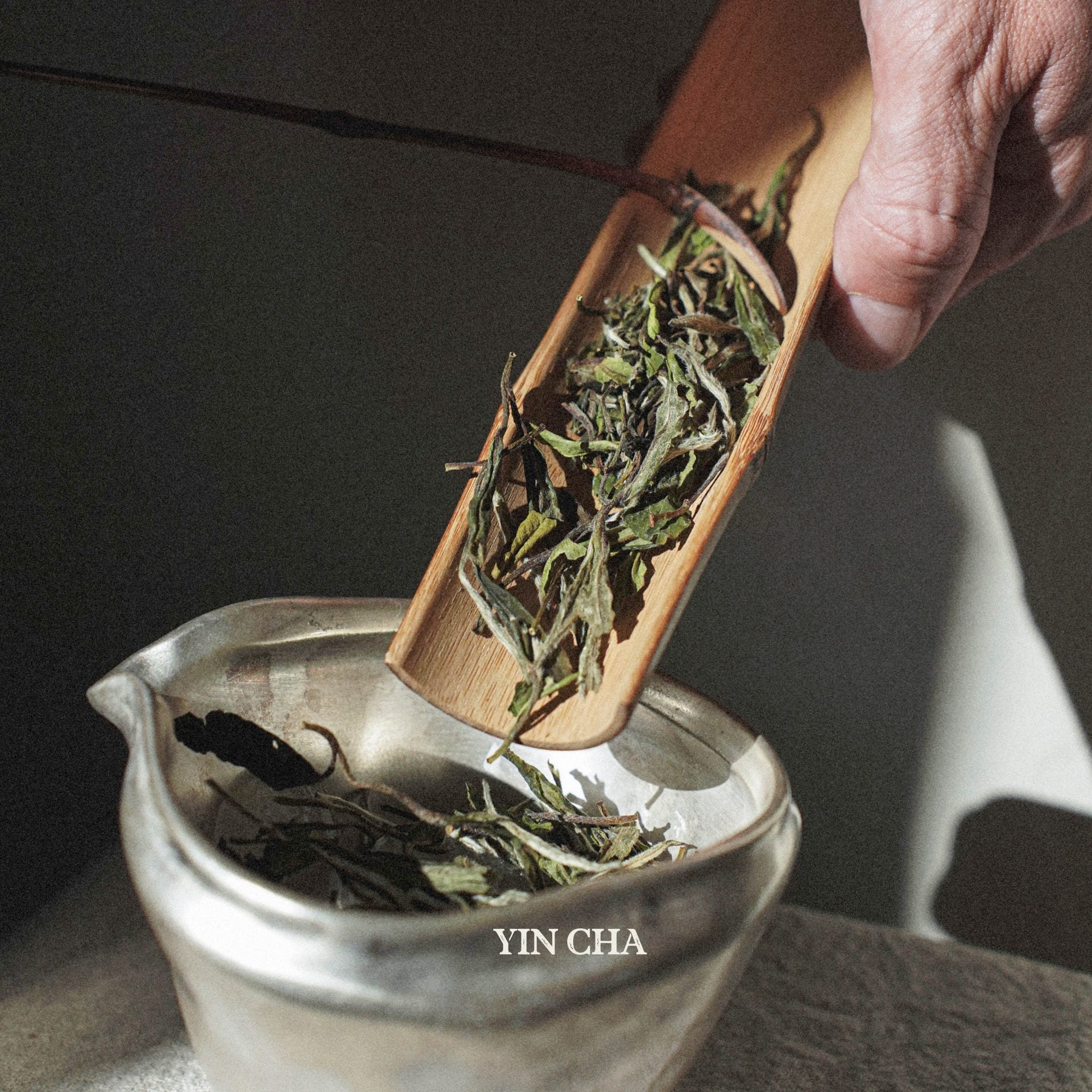 Bai Mu Dan 2022 (White Peony) 白牡丹