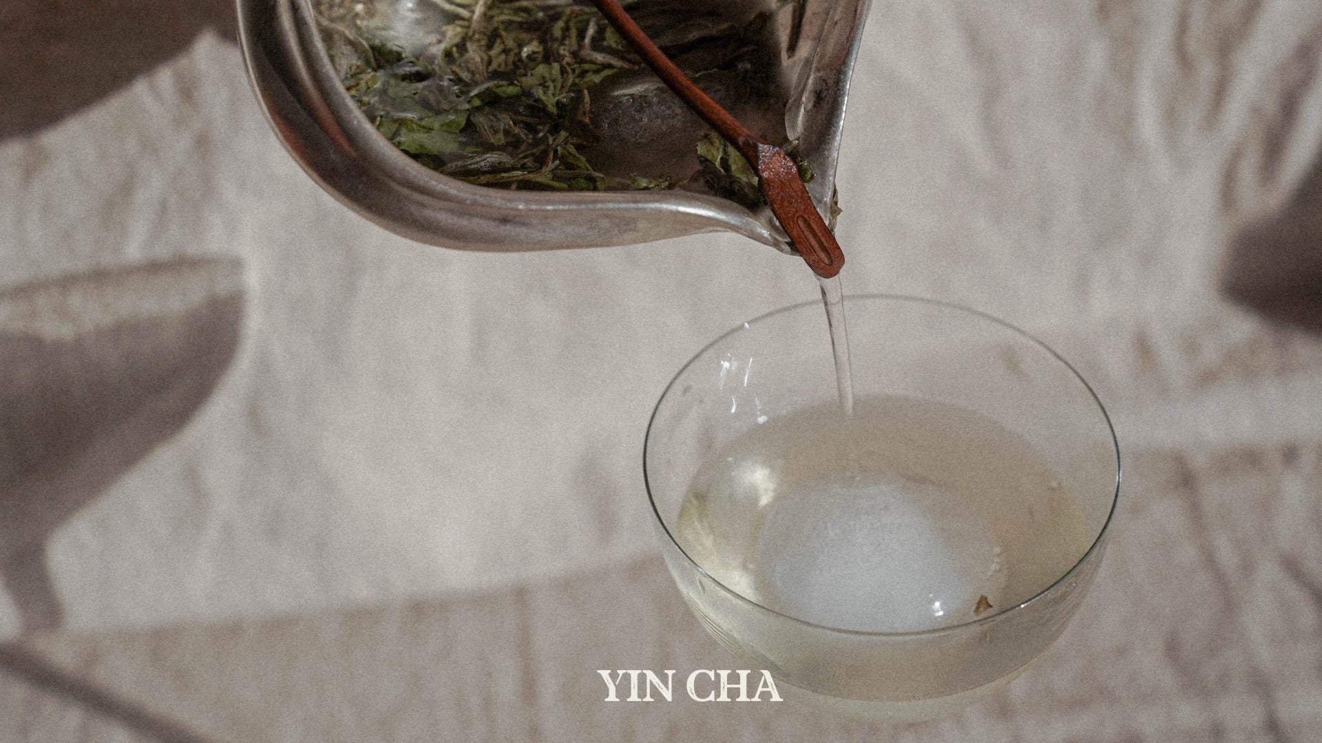 Bai Mu Dan 2022 (White Peony) 白牡丹