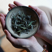 bai mu dan white tea leaves in a small plate hold by hands