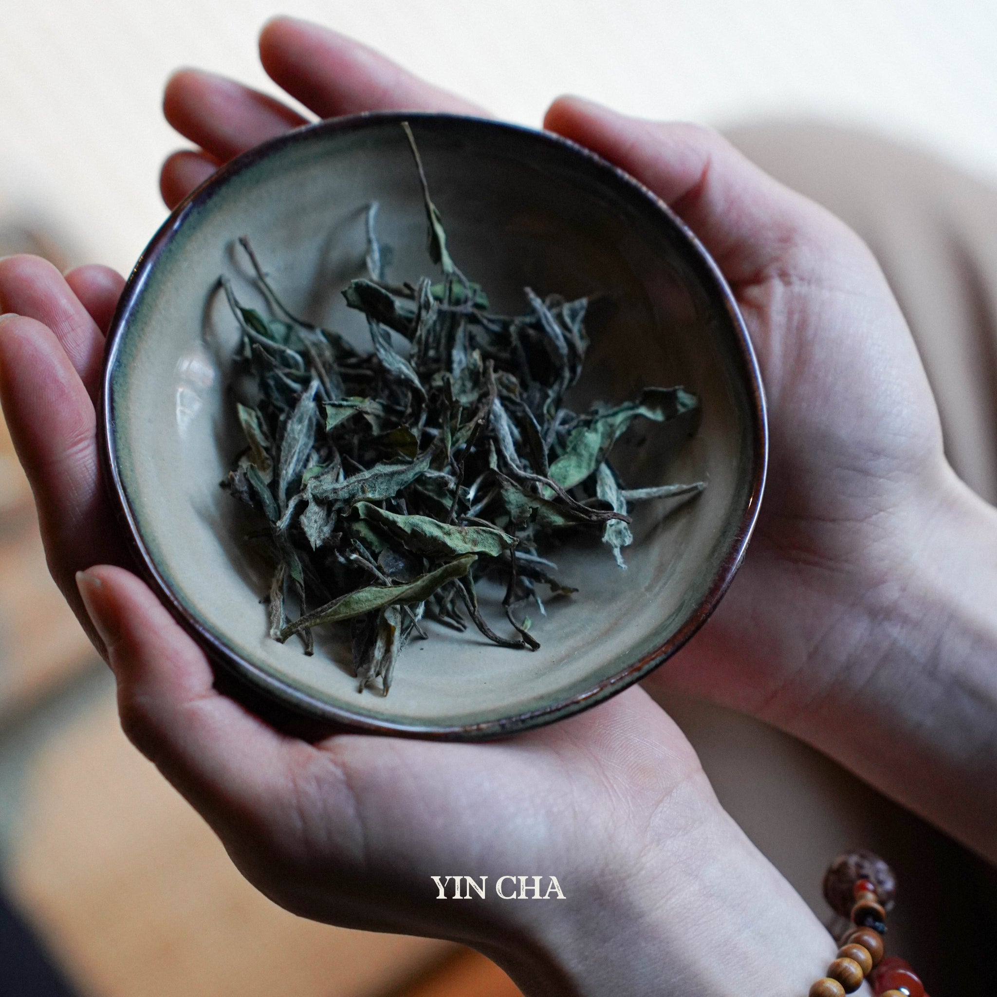 bai mu dan white tea leaves in a small plate hold by hands