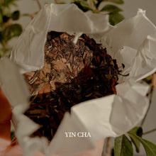 2019 Aged Gong Mei White Tea Cake 50g 贡眉白茶饼