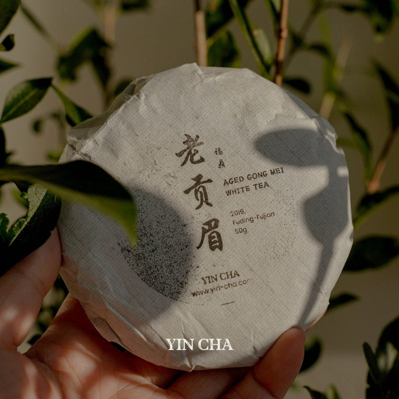 2019 Aged Gong Mei White Tea Cake 50g 贡眉白茶饼