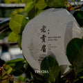 2019 Aged Gong Mei White Tea Cake 50g 贡眉白茶饼