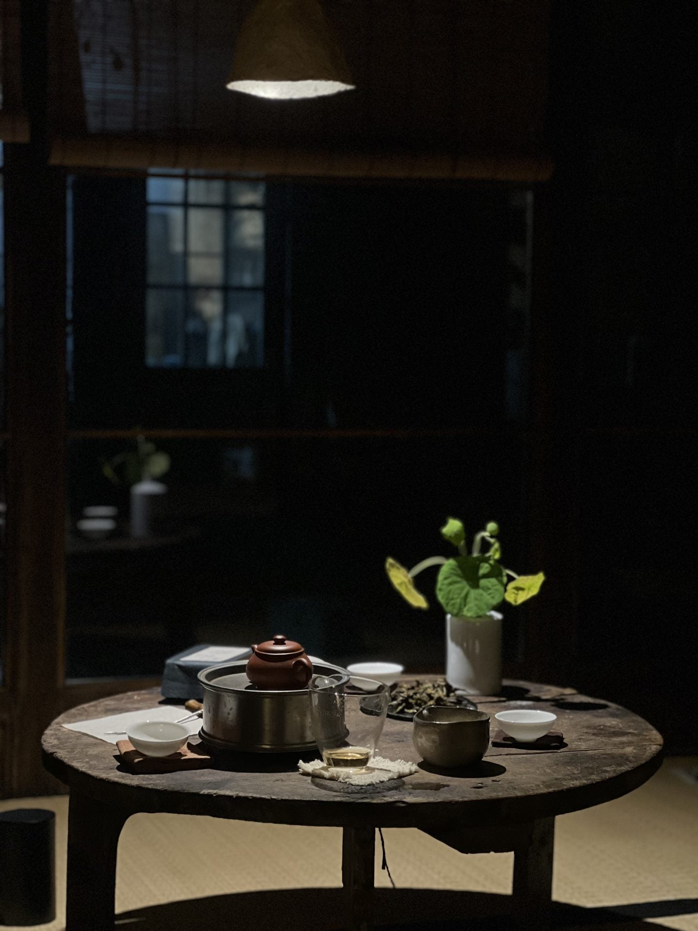 Dive into the Art of Chinese Tea- Gong Fu Cha Workshop  (08-02-26)