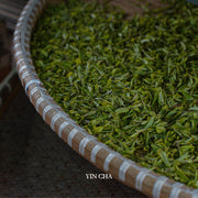 fresh west lake longjing tea leaves drying