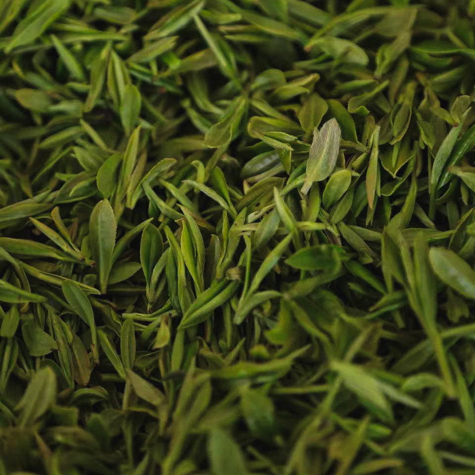 2025 First Flush West Lake Long Jing (Dragon Well)西湖龙井 -Pre-Qingming