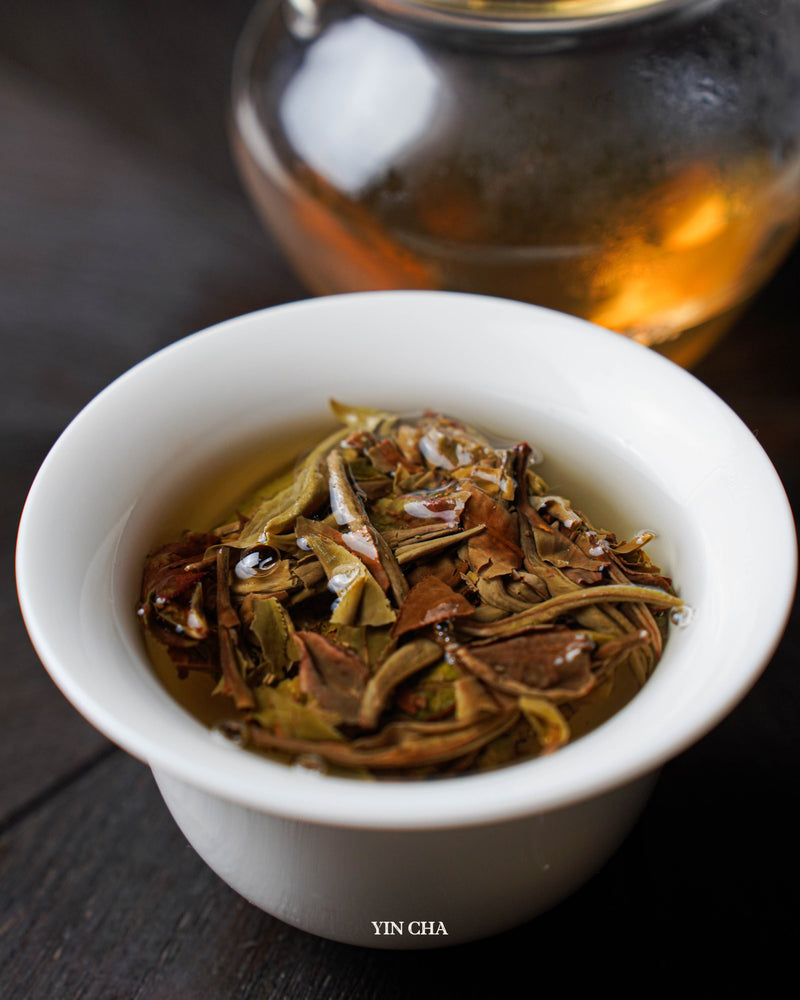Wild White (Ye Sheng) 野生白茶