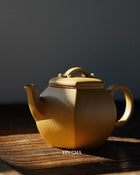 Handmade Yi Xing Tea Pot- Golden Duanni Clay - Huang Jin Duan Ni 黄金段泥