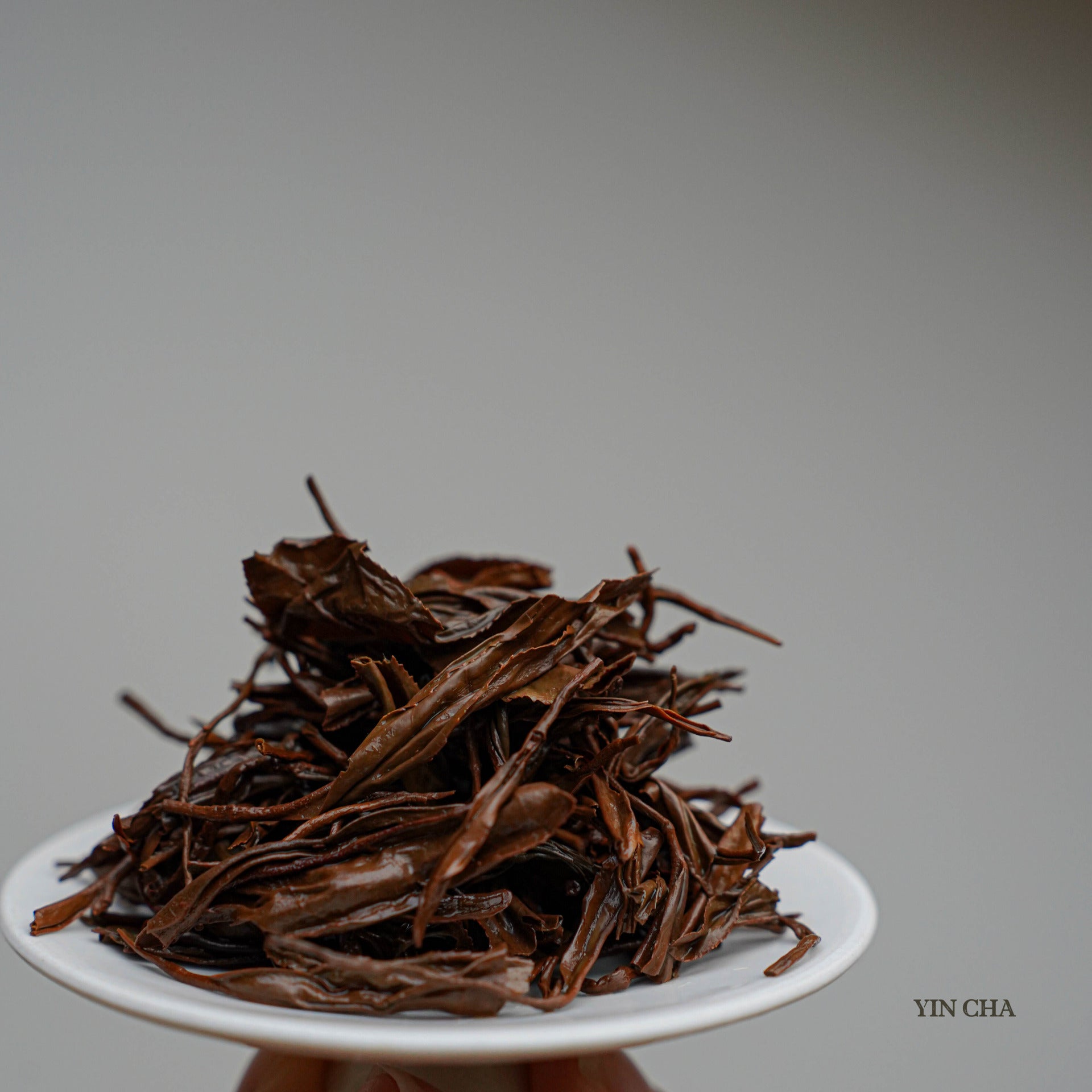 Osmanthus Red (Keemum) 桂香祁红