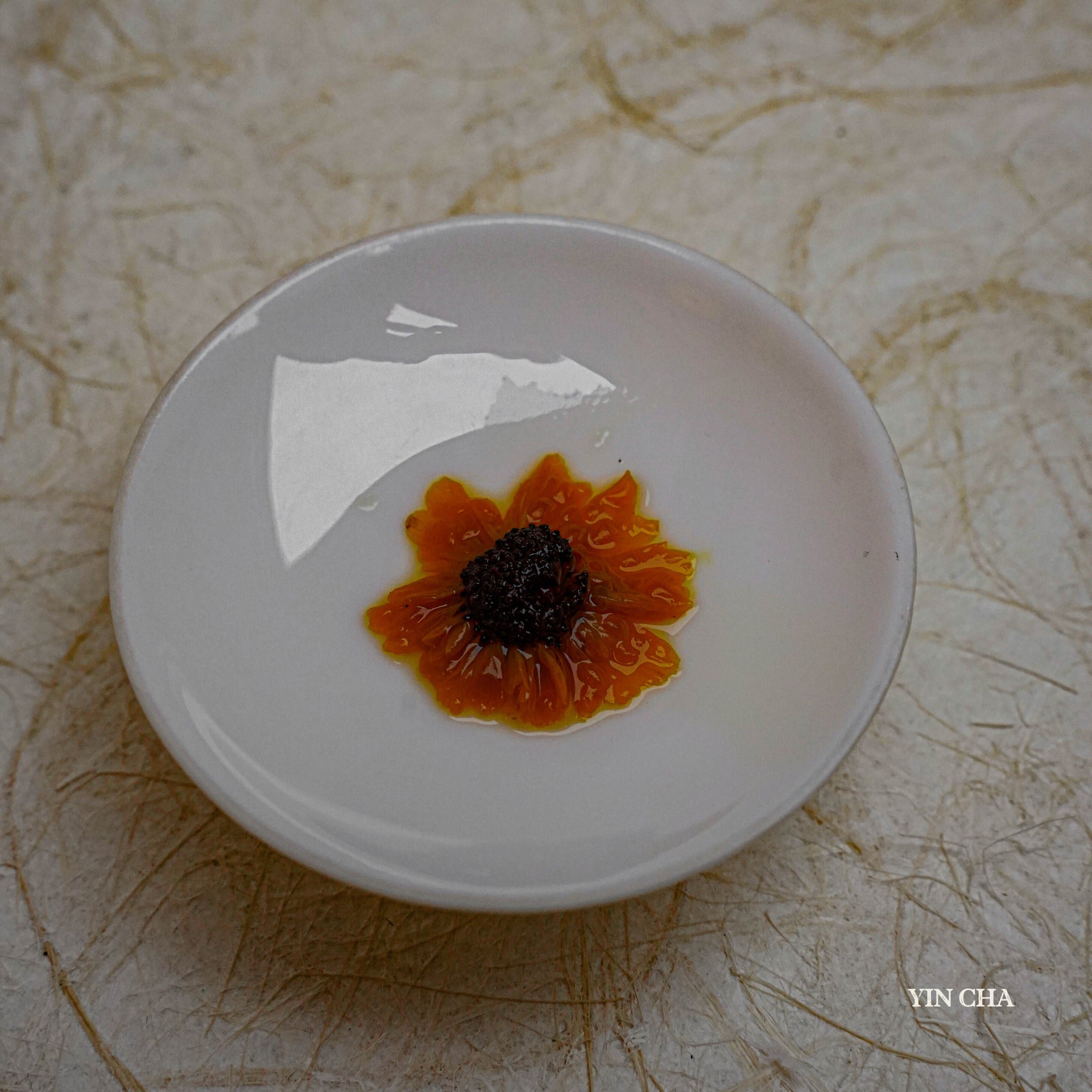Snow Chrysanthemum 昆仑雪菊